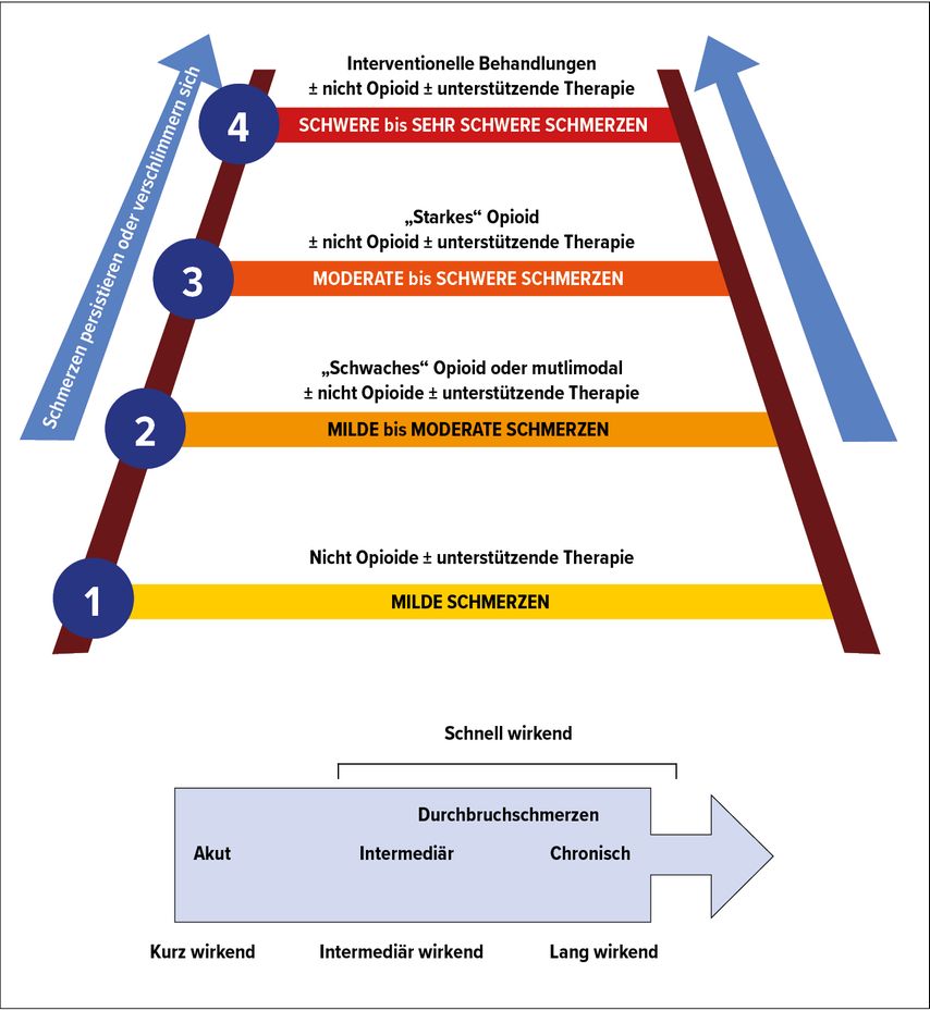 Aktualisierte Version der Schmerzleiter der WHO mit einer ergänzenden vierten Stufe, welche invasive Blockadetechniken vorsieht