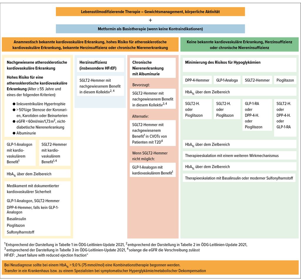 Antihyperglykämische Therapie – sind wir im Alltag klar und ...