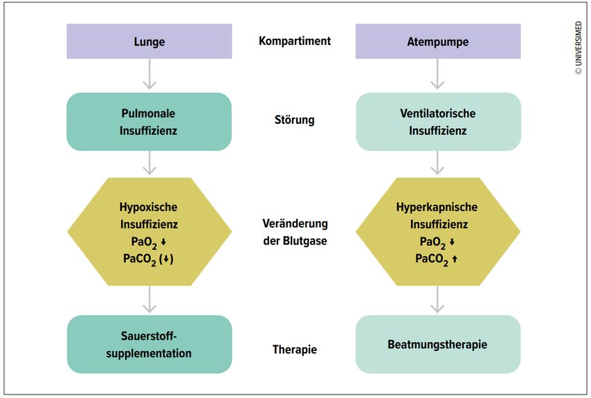 Sauerstoff Ist Ein Medikament: Die Langzeit-Sauerstofftherapie ...