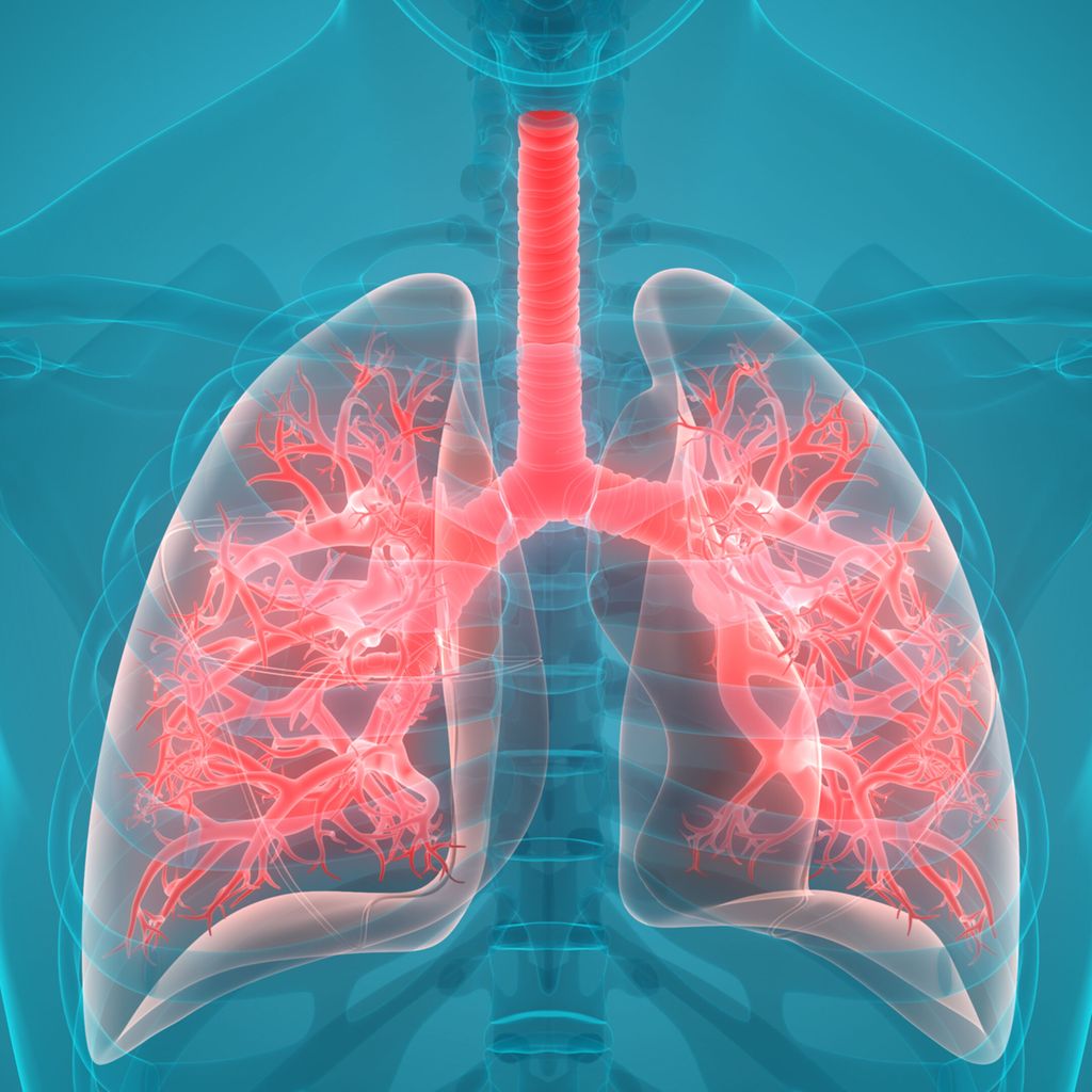 „Treatable traits“: Was wird aus Asthma und COPD? - Pneumologie ...