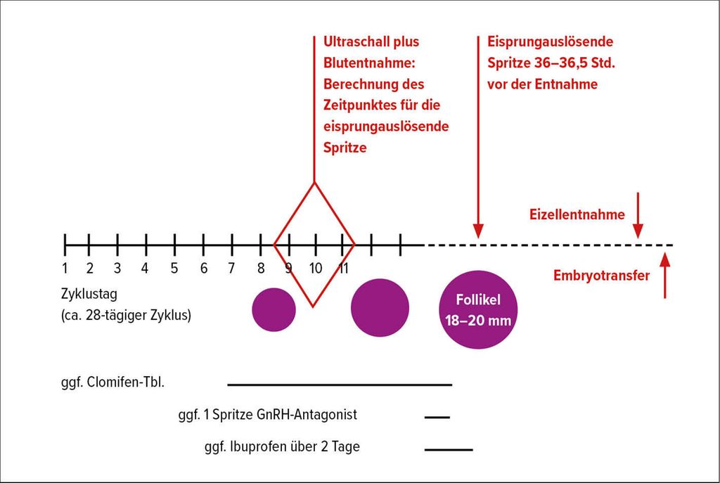 letrozole Chancen für alle