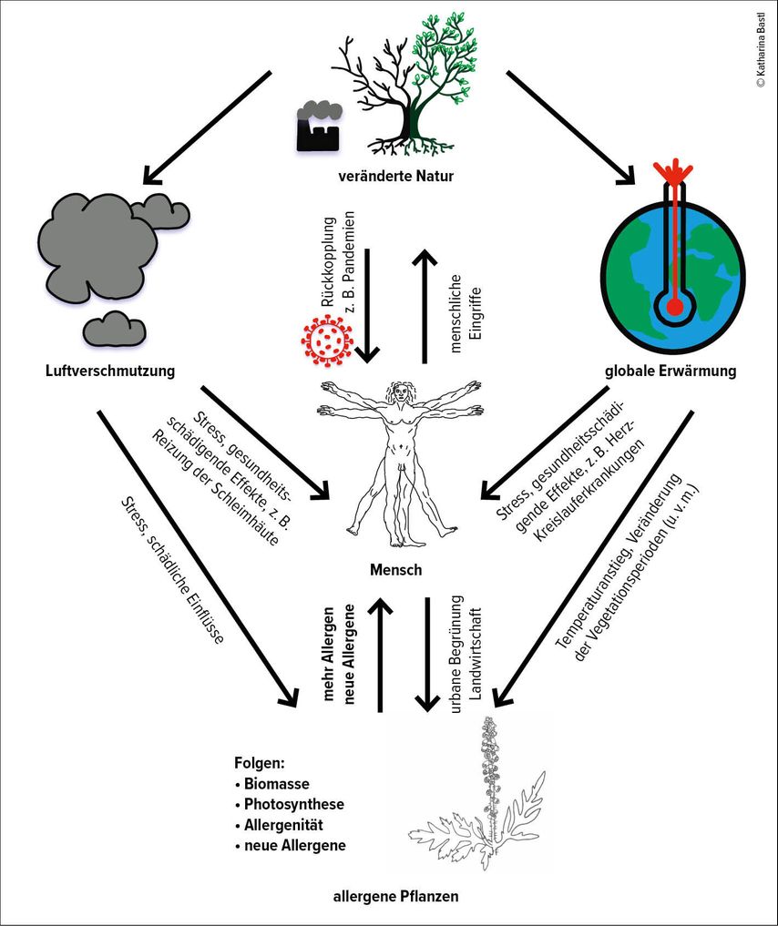 Der Einfluss Von Luftverschmutzung Auf Pollenallergiker - Pneumologie ...